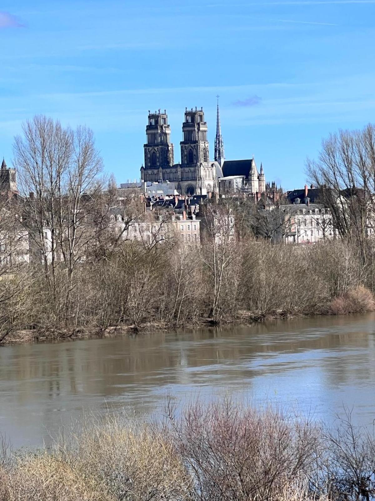Appartement Au Duleing House Orléans Eksteriør billede