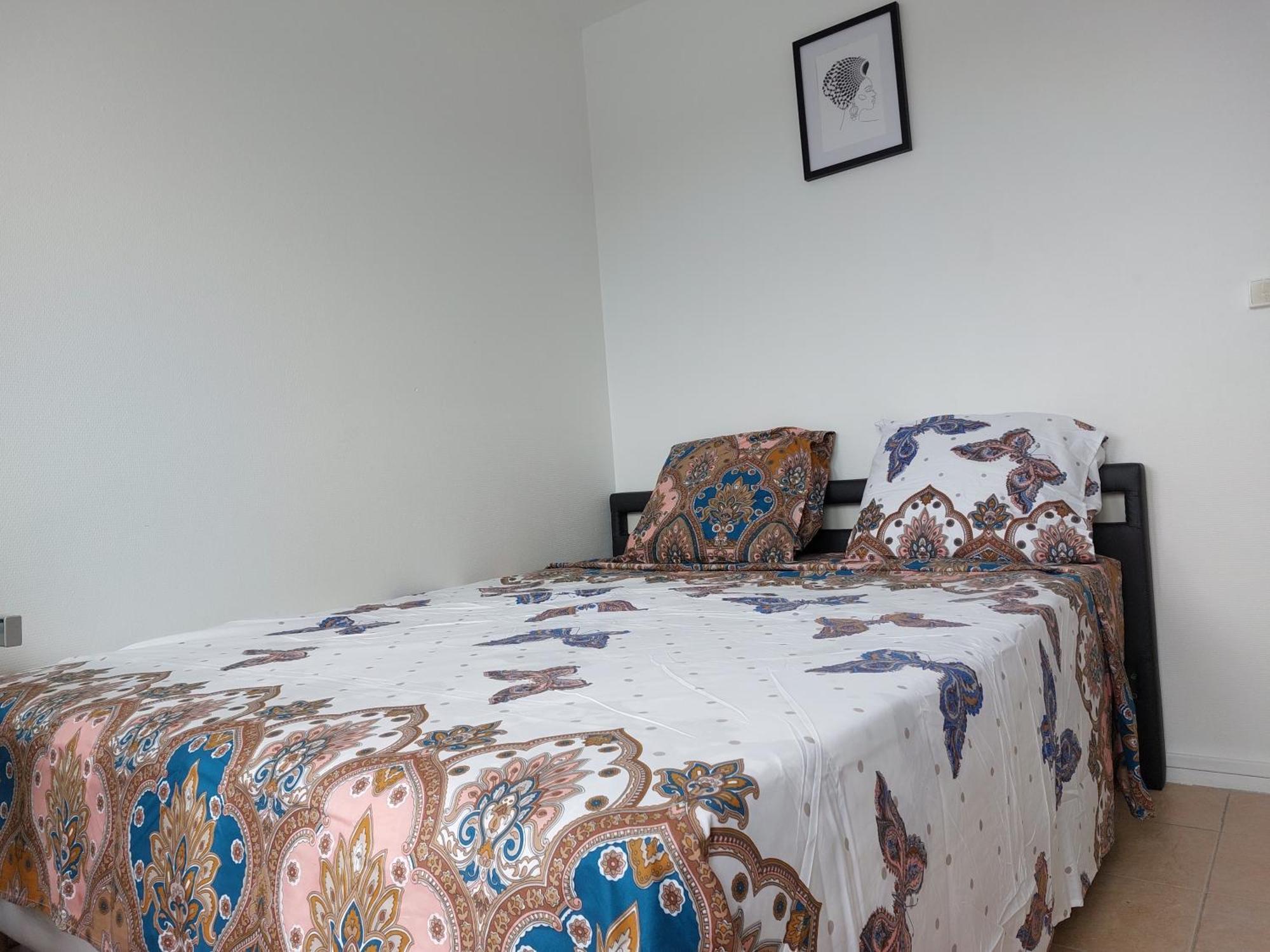 Appartement Au Duleing House Orléans Eksteriør billede