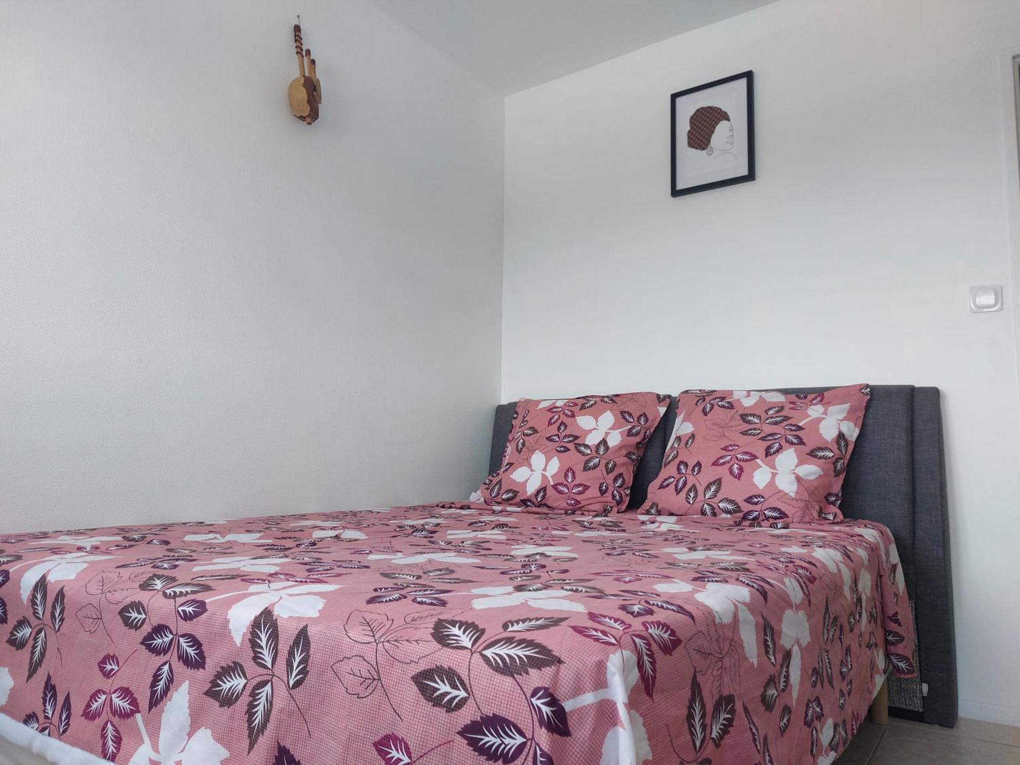 Appartement Au Duleing House Orléans Eksteriør billede