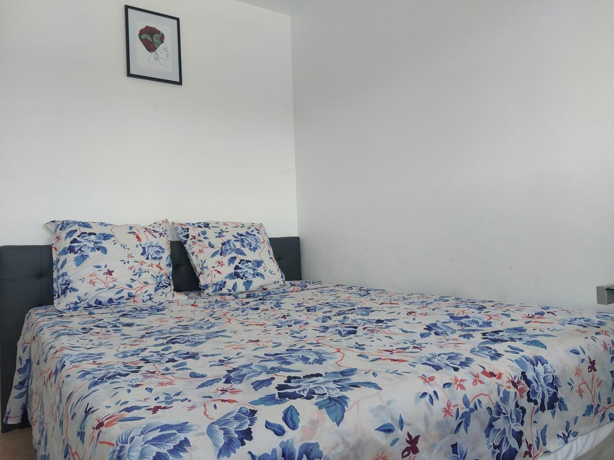 Appartement Au Duleing House Orléans Eksteriør billede